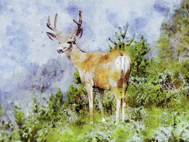 Free elk wildlife nature illustration