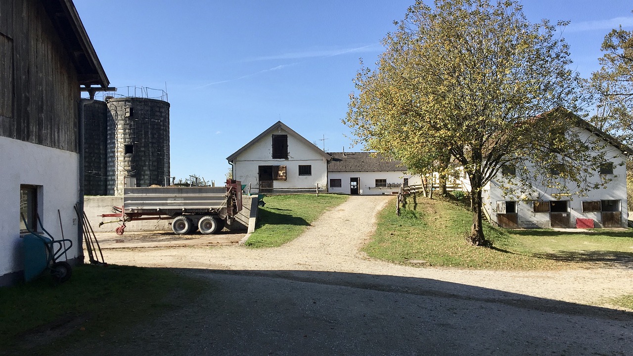 Farm Yard Pig Sty Bernau - Free photo on Pixabay - Pixabay