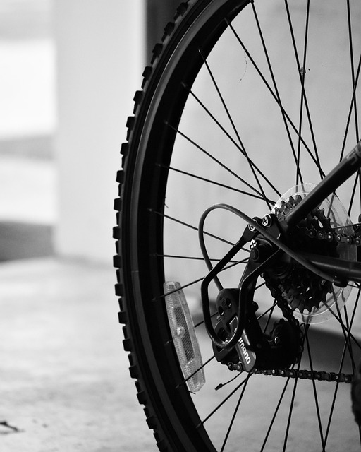 Free Bicycle Sports photo and picture