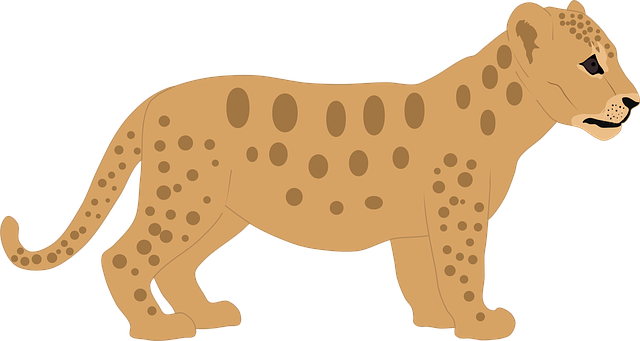 Free Cub Lion vector and picture