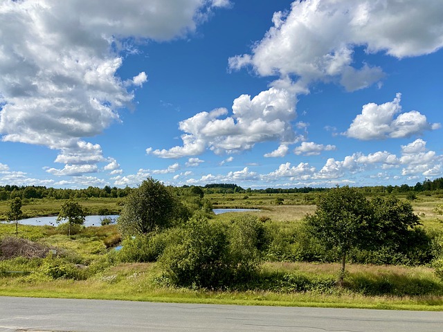 Natur, Skyer, Ostfriesland, Wiesmoor