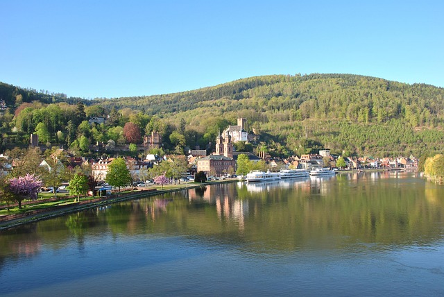 Free Miltenberg Main photo and picture
