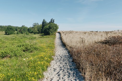 Free Field Plain photo and picture