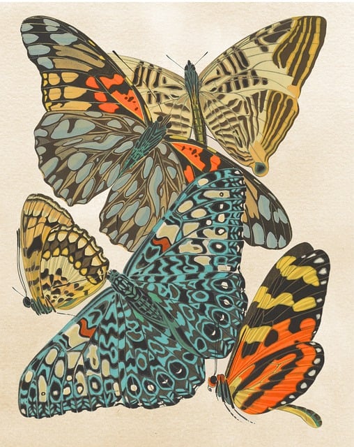 Schmetterling, Jahrgang, Collage, Teller