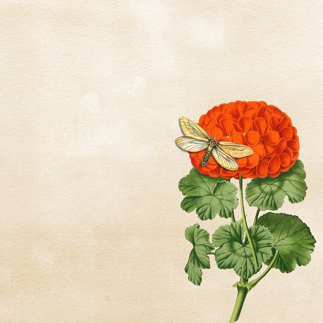 Free flower vintage paper illustration