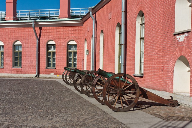 Free Cannons Fortress photo and picture
