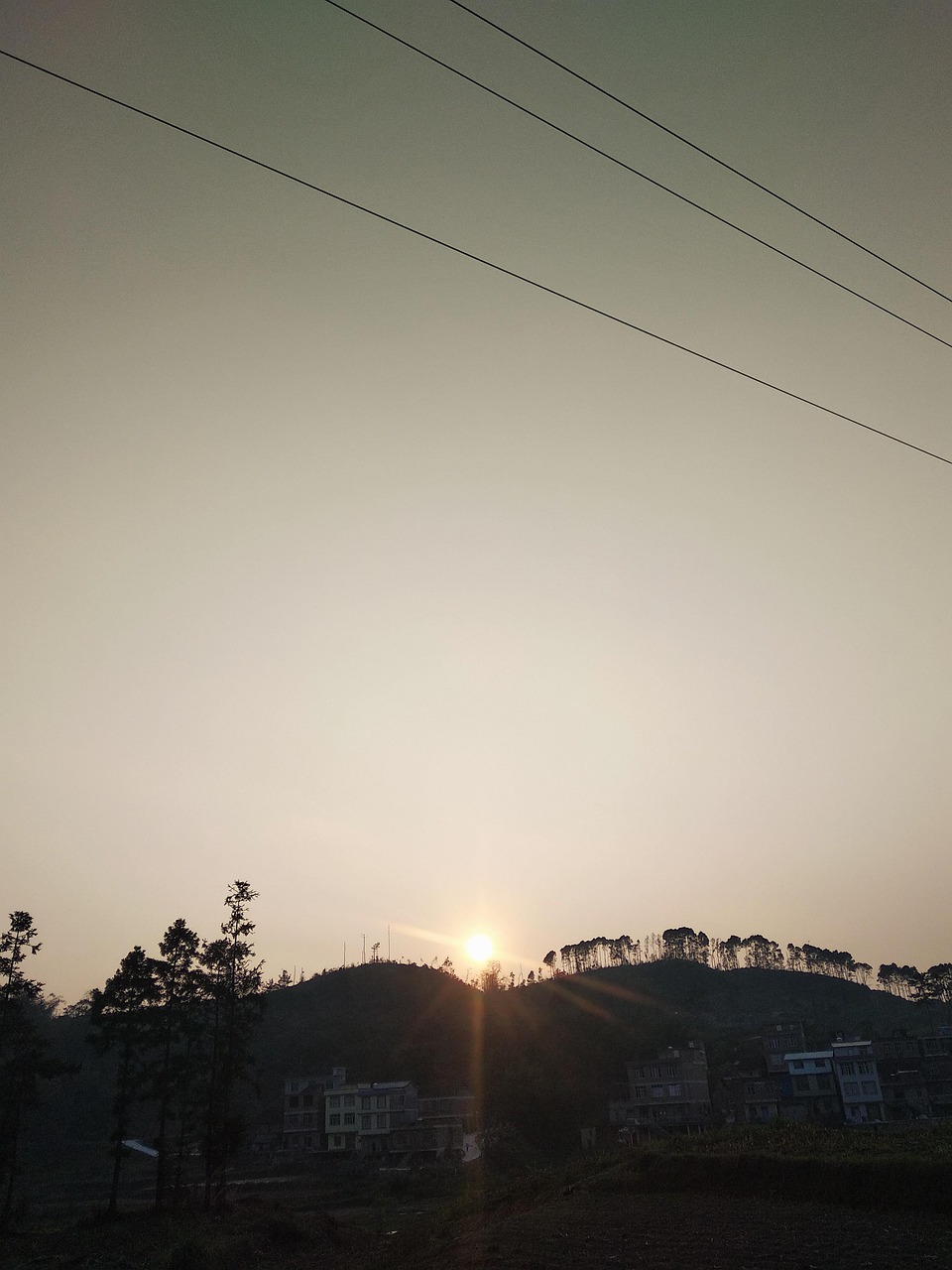 Andsome The Sky Arboreal - Pixabay上的免费照片 - Pixabay