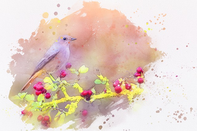 Free bird animal wildlife illustration