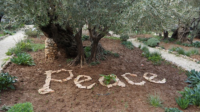 Free Jerusalem Israel photo and picture