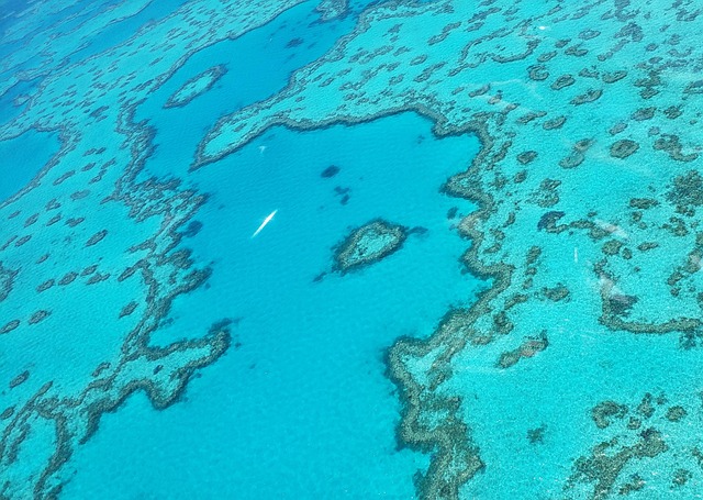 Free Australia Reef photo and picture