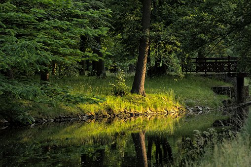 Parkere, Wroclaw, Sommer, Flod, Bro