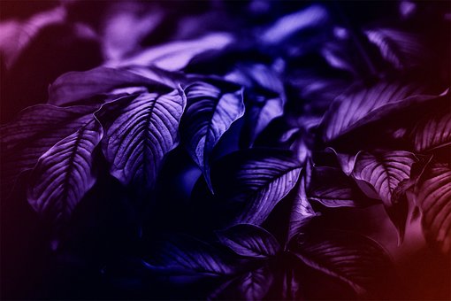 Free Neon 4K Wallpaper photo and picture