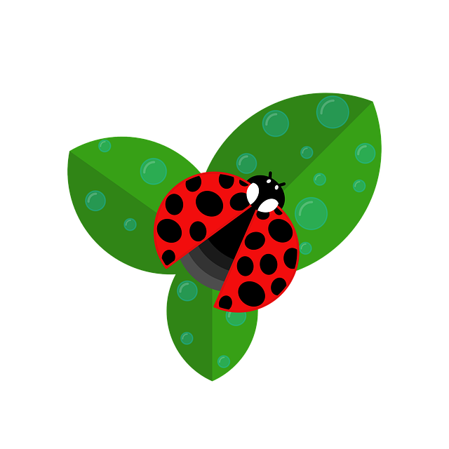 Free ladybug insect nature illustration