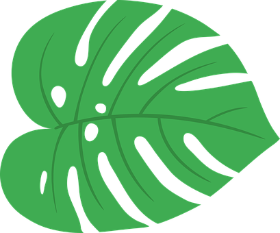 Free Monstera Tropical vector and picture