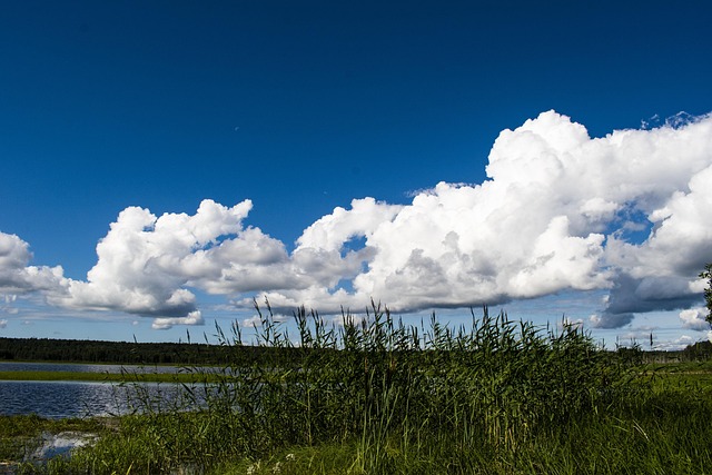 Lake, Trstiny, Mraky, Na Šírku, Príroda