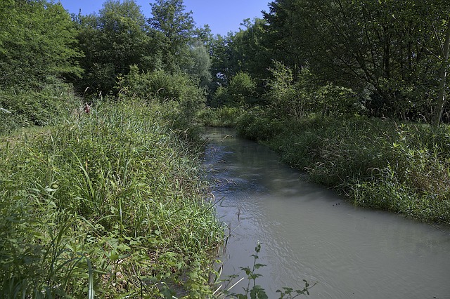 Stroom, Veld, Landschap, Natuur, Rivier