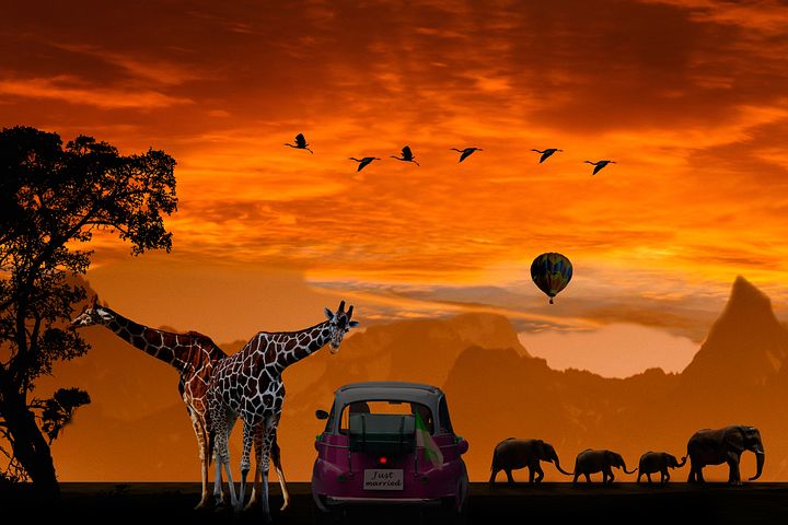 200+ Free Honeymoon & Love Images