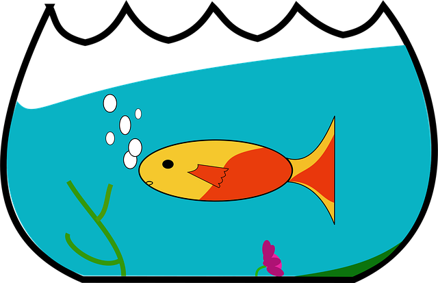 Fisch, Fischglas, Schwimmen, Gelb