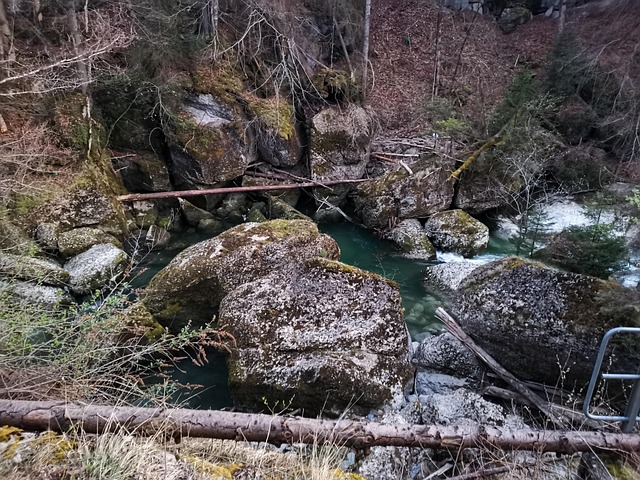 Free Nature Flow photo and picture