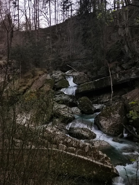 Free Nature Flow photo and picture