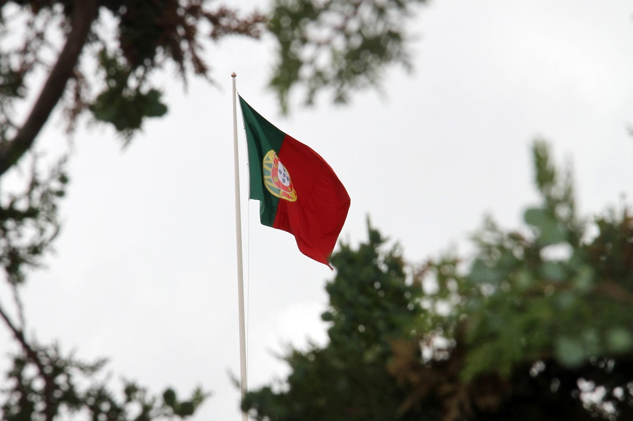 Flagge Grn Rot