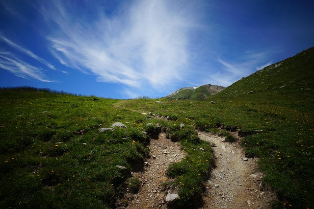 Free Meadow Hiking photo and picture
