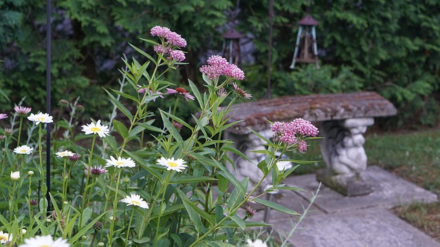 Free Backyard Garden photo and picture
