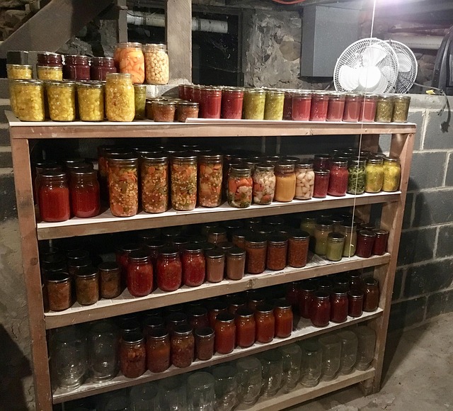 Free Canning Cellar photo and picture