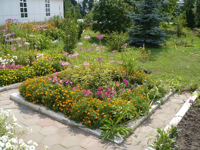 Bloemen, De Voortuin, Tuin, Bloementuin