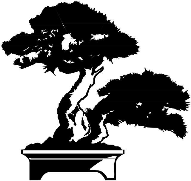 Free bonsai tree plant illustration