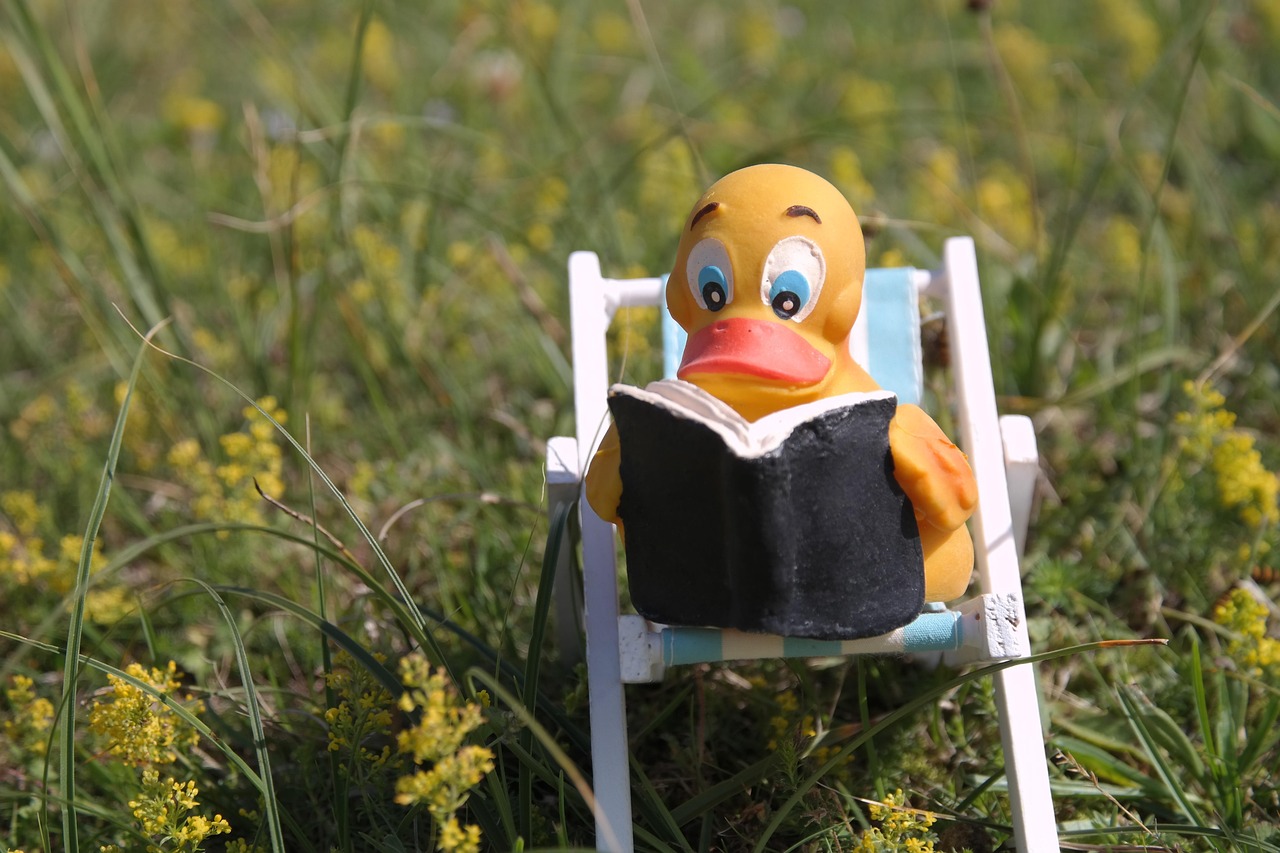 Lesen Ente Stuhl