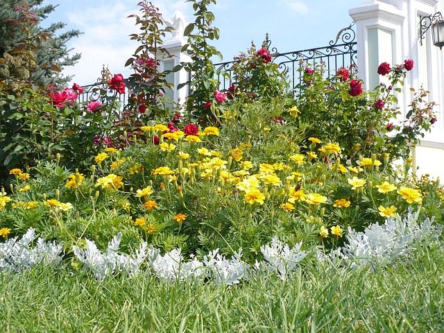 Bloemen, De Voortuin, Mooi