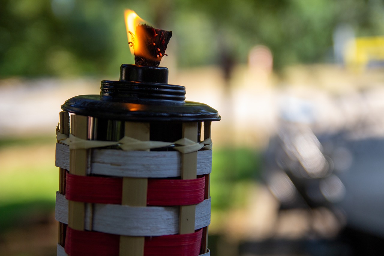 Torch Fire Flame Free photo on Pixabay Pixabay