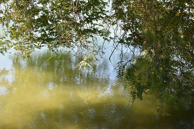 Free Lake Nature photo and picture