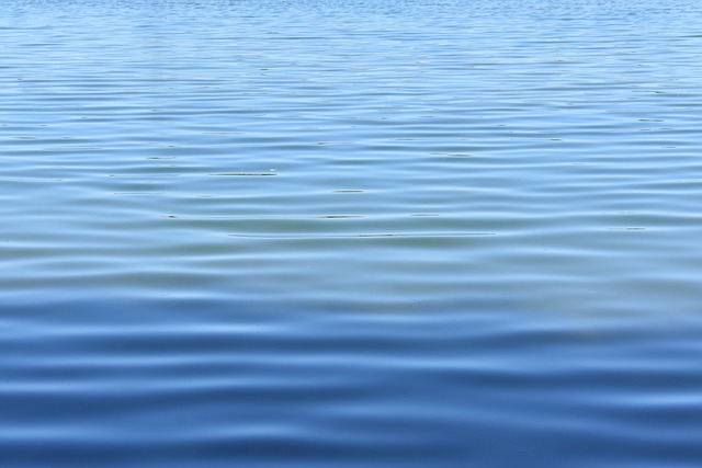 Free Water Lake photo and picture