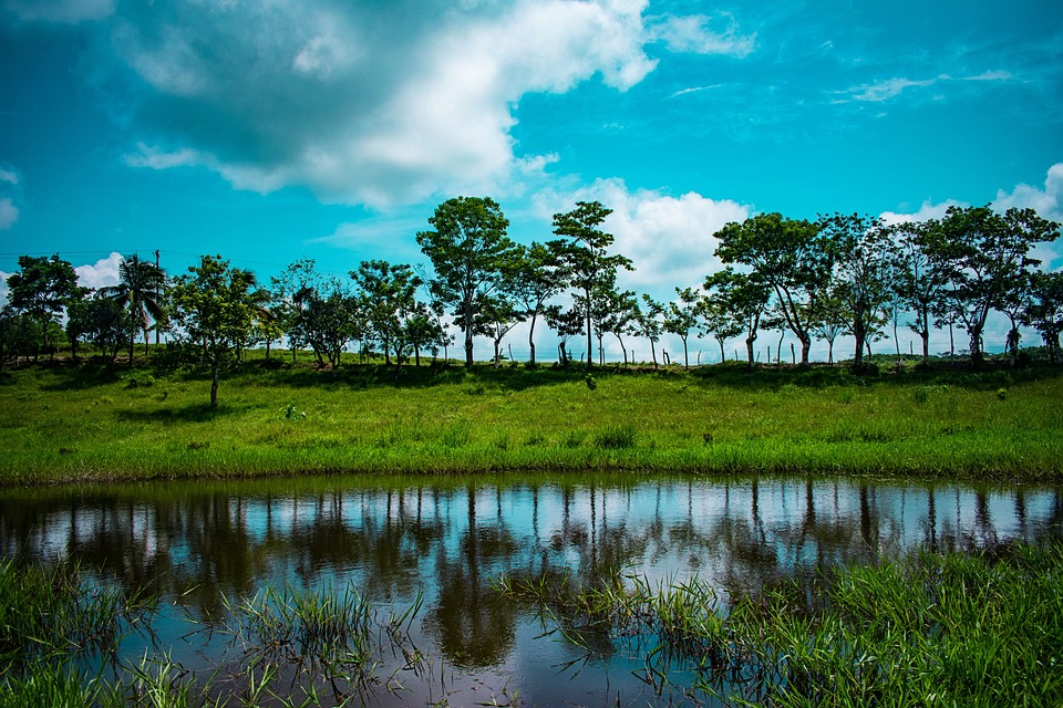 景观 树线 湖 - Pixabay上的免费照片 - Pixabay