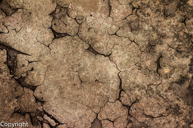 Free Wallpaper Earth photo and picture