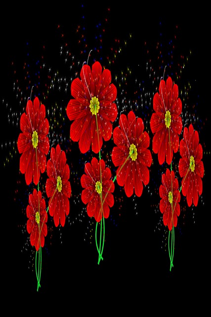 Free Vector Image Image photo and picture