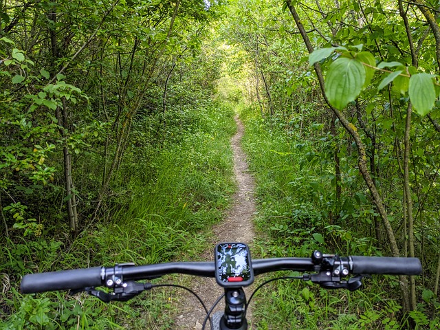 Mtb, Mountain Bike, Fiets, Fietstocht