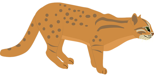 Free cat rusty cat animal vector