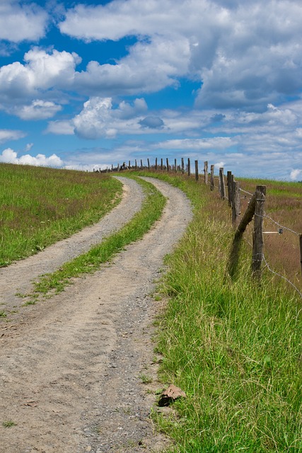 20,000+ Free Path & Nature Images - Pixabay