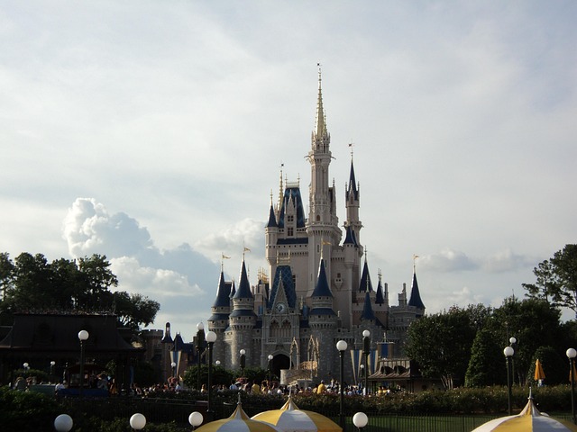 Free Most Magical Place Disney photo and picture