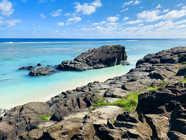 Free Beach Island photo and picture