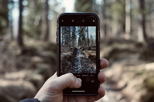 Foto, Kamera, Iphone, Natur