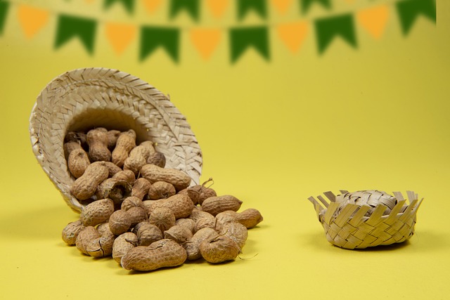 Free Nutshell Seed photo and picture