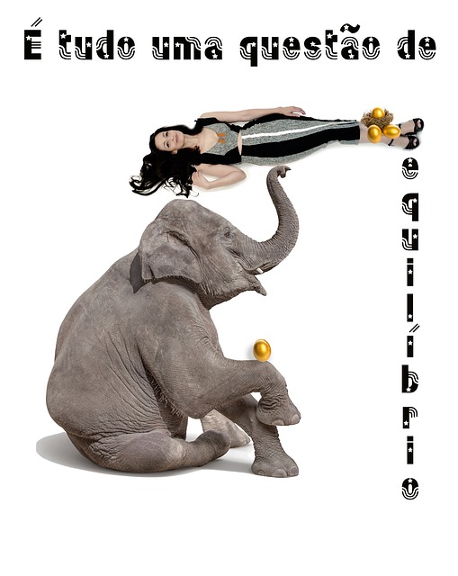 Free Balance Elephant photo and picture