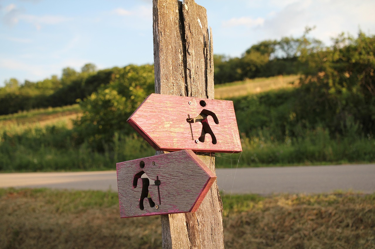 100+ Free Directory & Folder Images - Pixabay