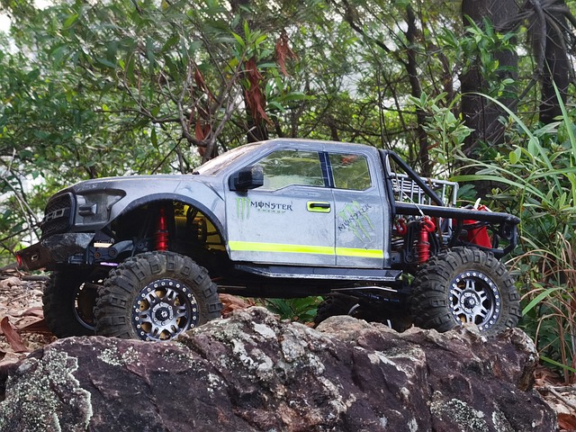 Mex Model Raptor Modelo Raptor - Foto gratuita no Pixabay - Pixabay