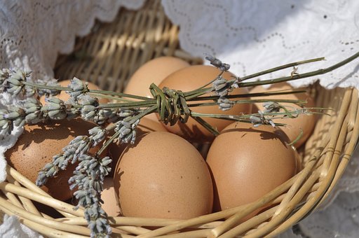 Free Eggs Lavender photo and picture