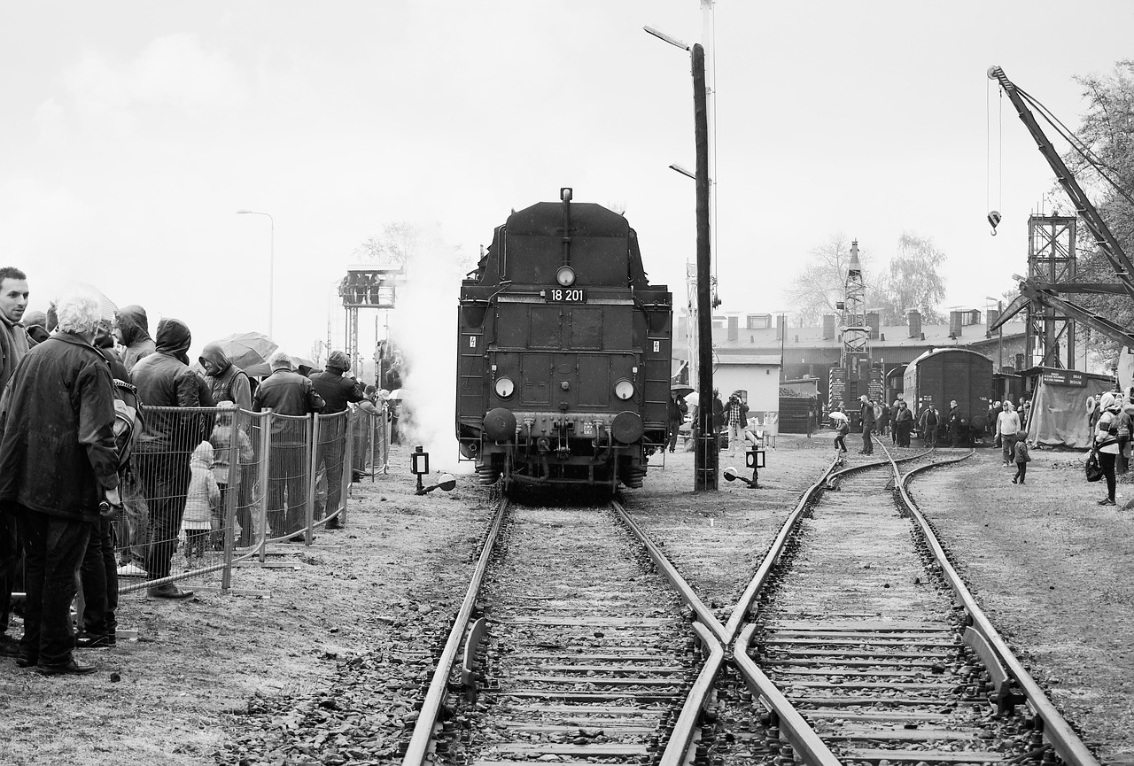 Train - free online jigsaw puzzle photo